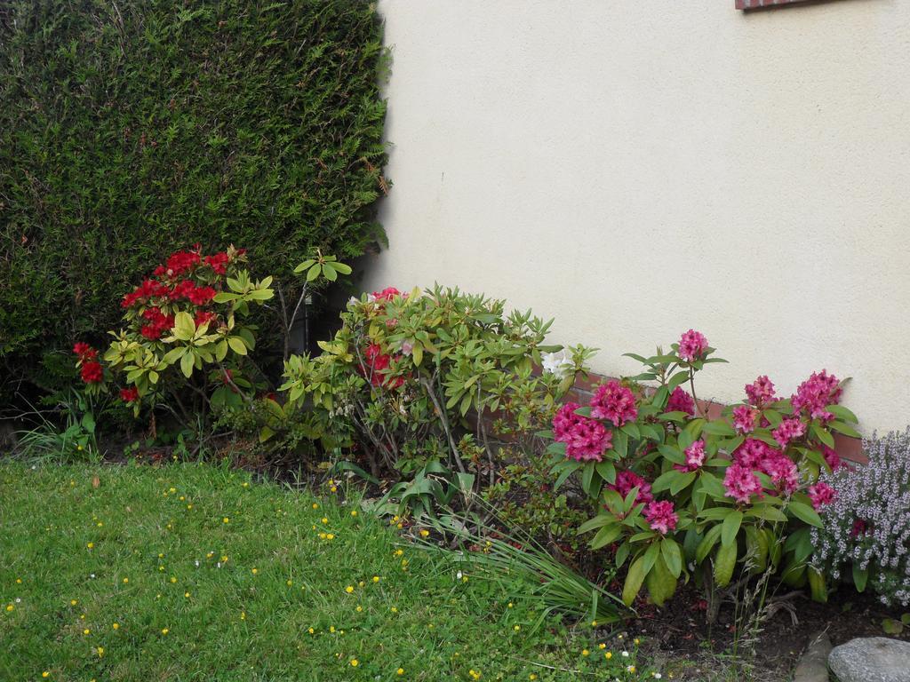 Le Gite D'En Bas Quesnoy-le-Montant Zewnętrze zdjęcie